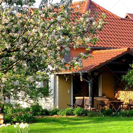 Janischs Fewo Im Spreewald, Terrasse, Grosser Garten Und Blick Inklusive Unterspreewald Екстериор снимка