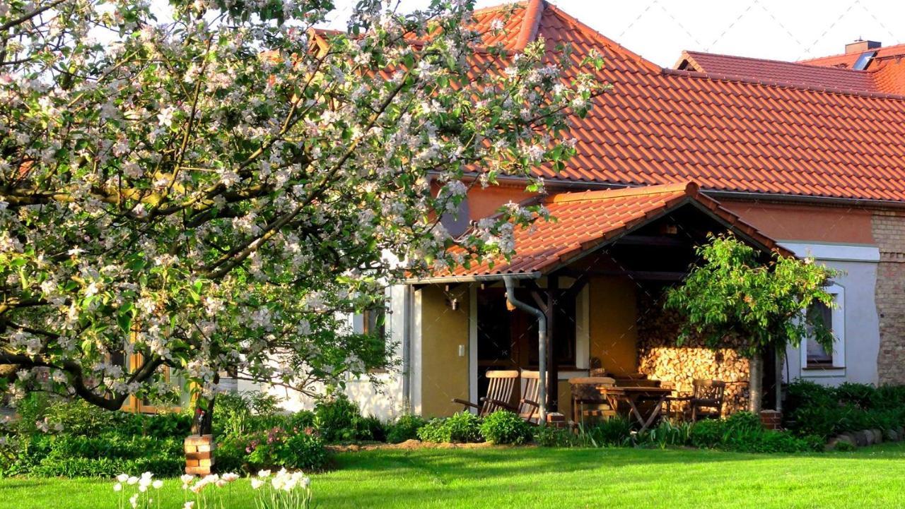 Janischs Fewo Im Spreewald, Terrasse, Grosser Garten Und Blick Inklusive Unterspreewald Екстериор снимка