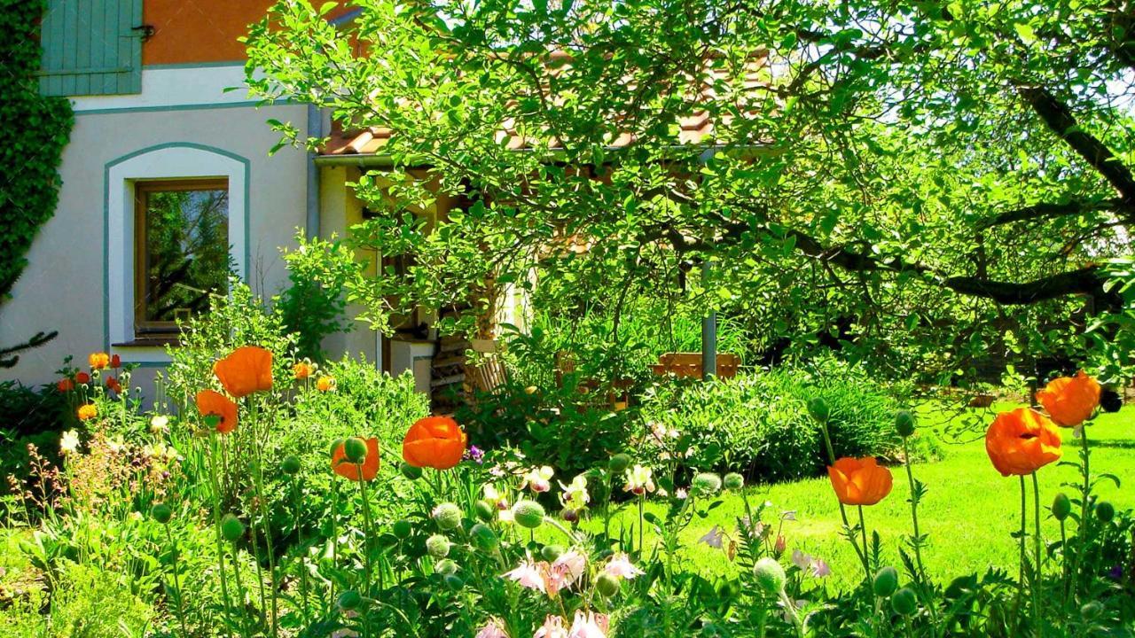 Janischs Fewo Im Spreewald, Terrasse, Grosser Garten Und Blick Inklusive Unterspreewald Екстериор снимка