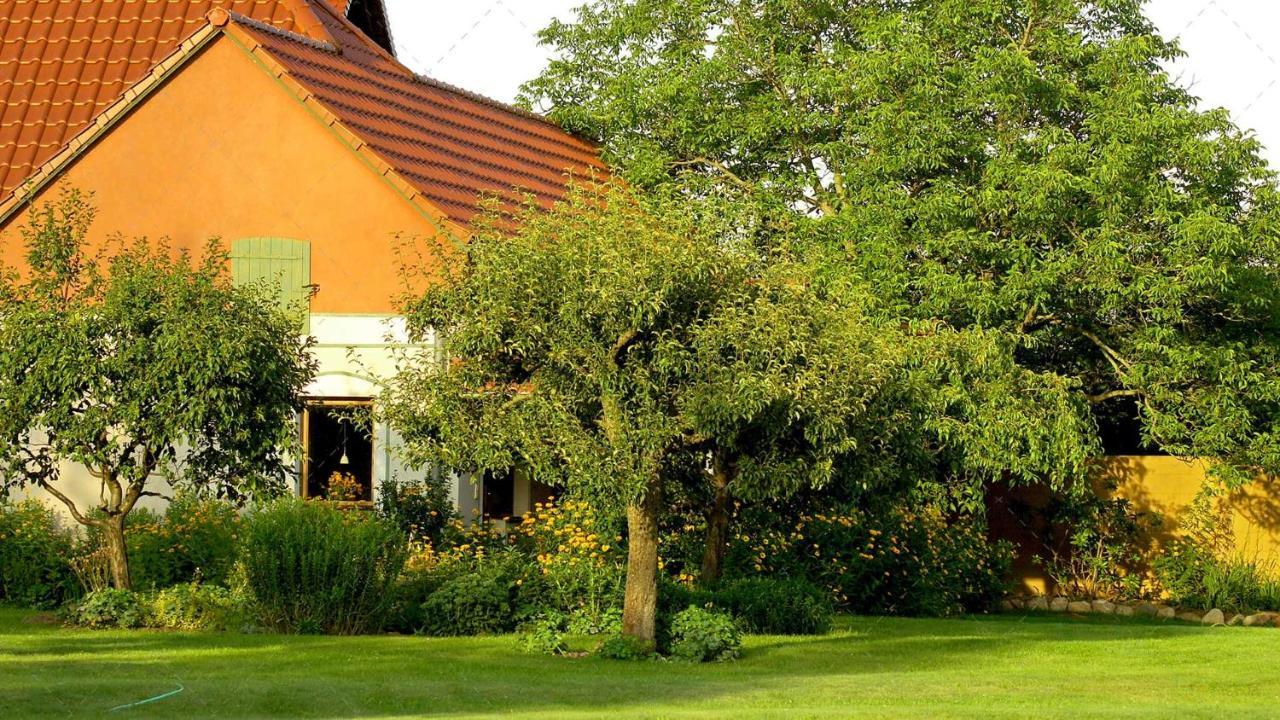 Janischs Fewo Im Spreewald, Terrasse, Grosser Garten Und Blick Inklusive Unterspreewald Екстериор снимка