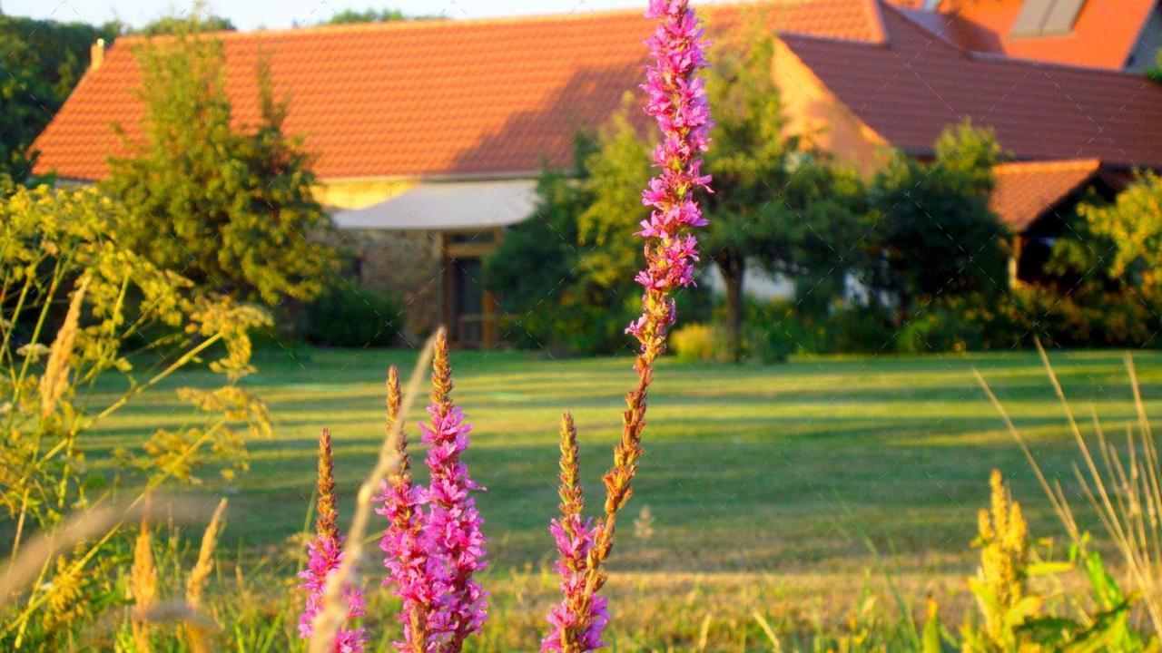 Janischs Fewo Im Spreewald, Terrasse, Grosser Garten Und Blick Inklusive Unterspreewald Екстериор снимка