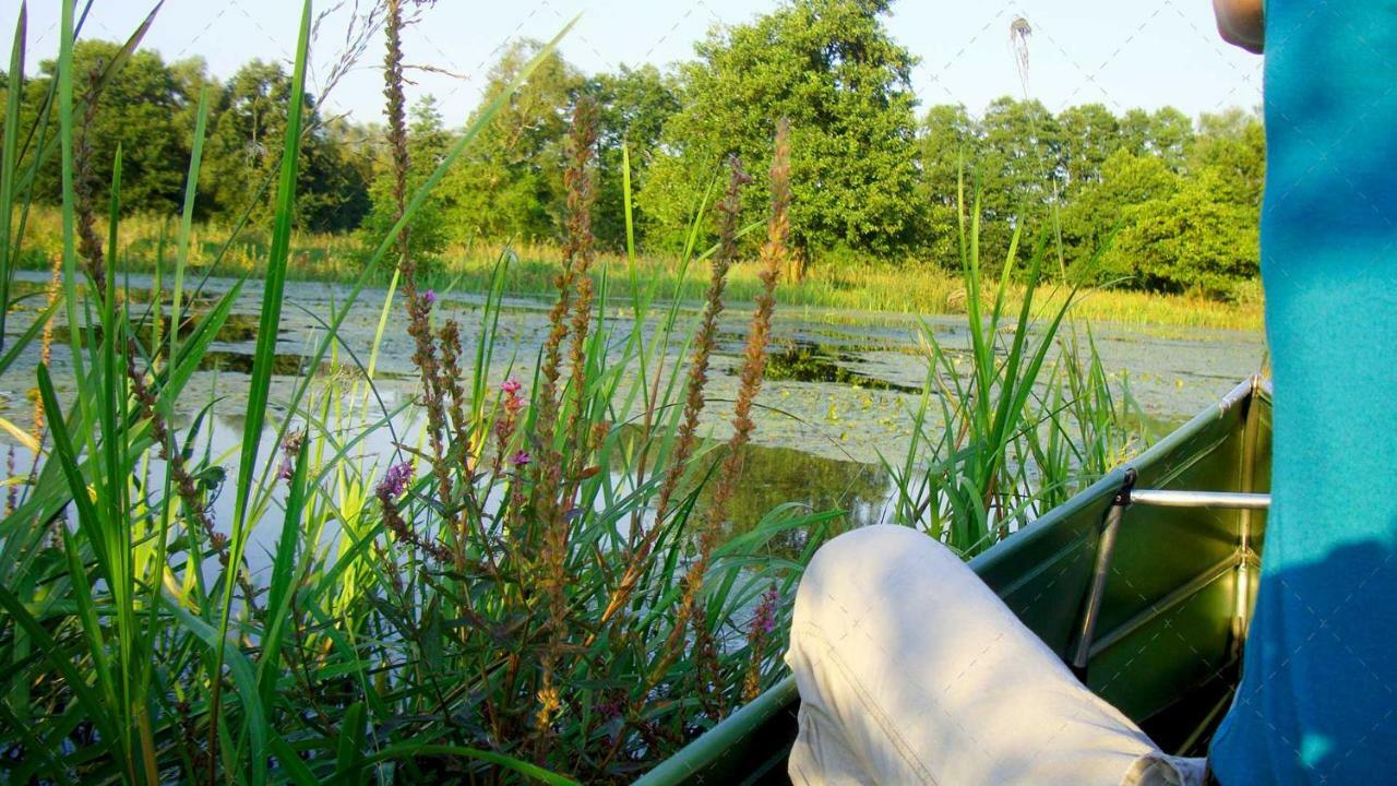 Janischs Fewo Im Spreewald, Terrasse, Grosser Garten Und Blick Inklusive Unterspreewald Екстериор снимка