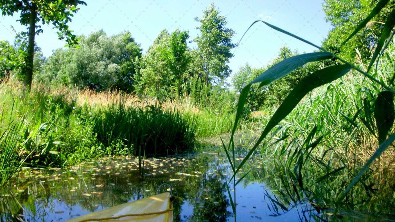 Janischs Fewo Im Spreewald, Terrasse, Grosser Garten Und Blick Inklusive Unterspreewald Екстериор снимка