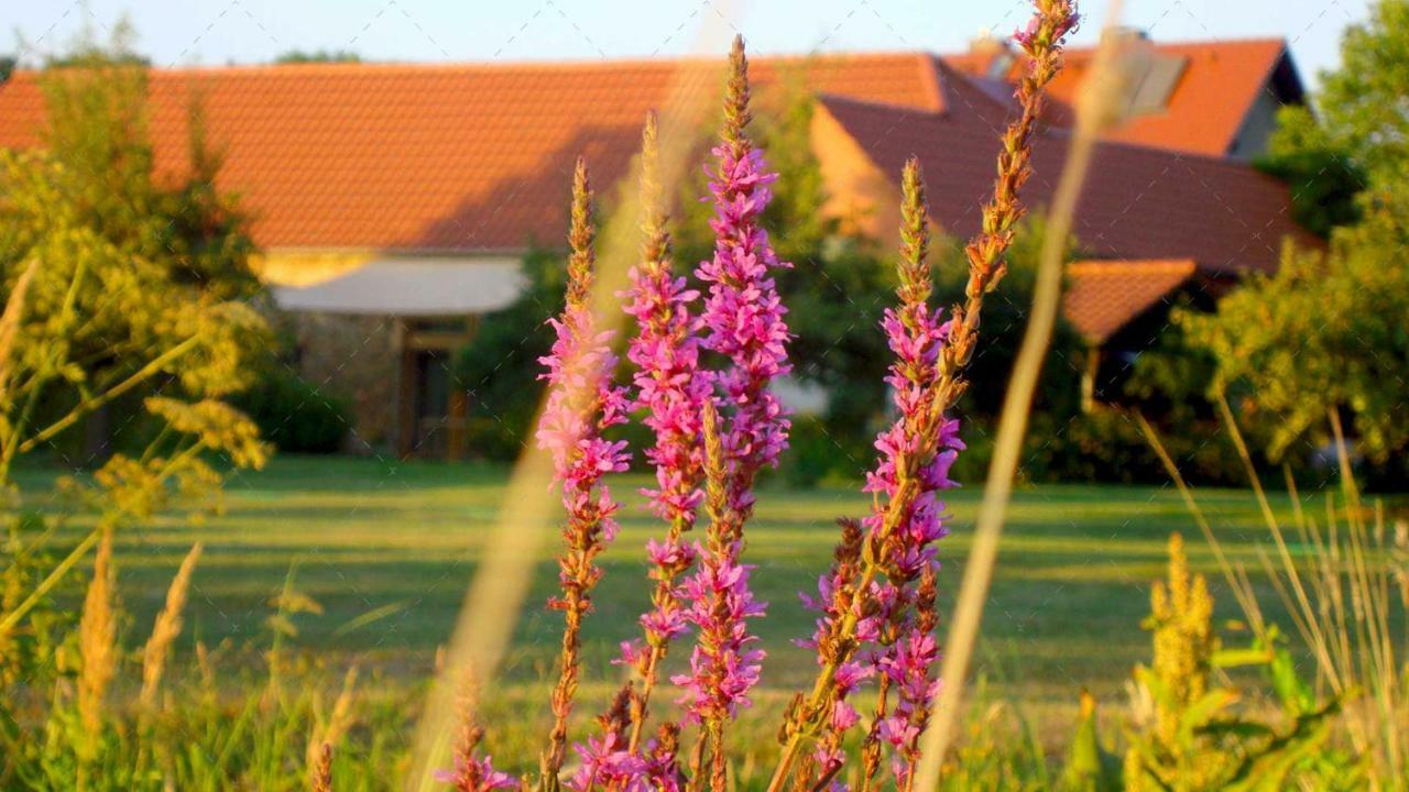 Janischs Fewo Im Spreewald, Terrasse, Grosser Garten Und Blick Inklusive Unterspreewald Екстериор снимка